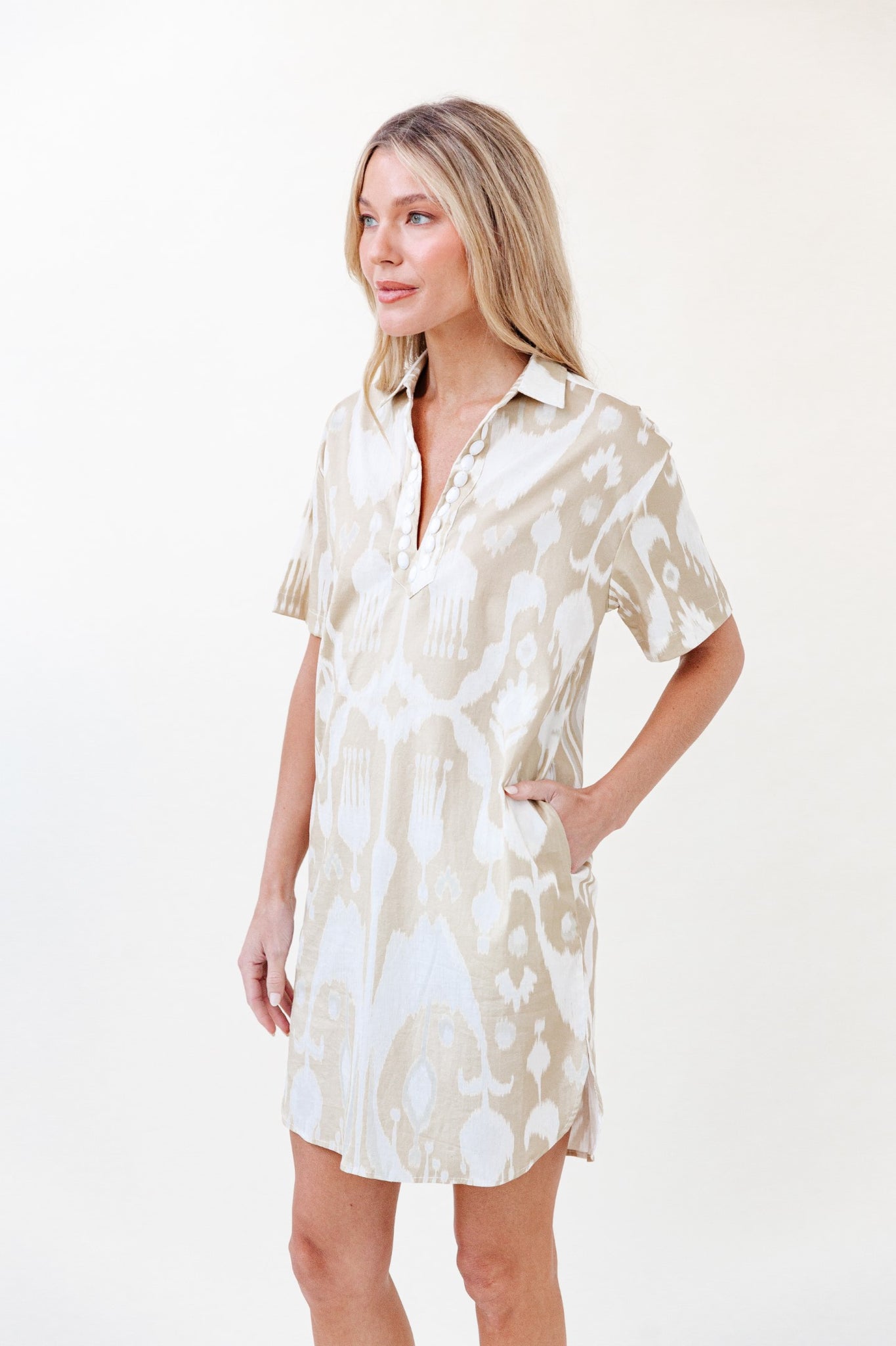 Rhodes Dress in Taupe Ikat