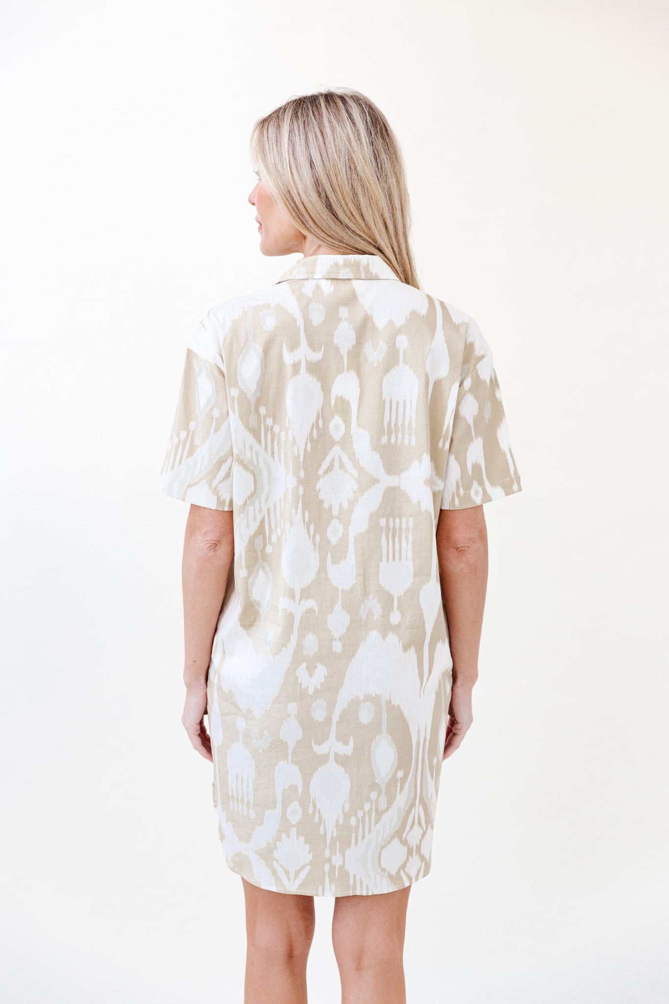 Rhodes Dress in Taupe Ikat